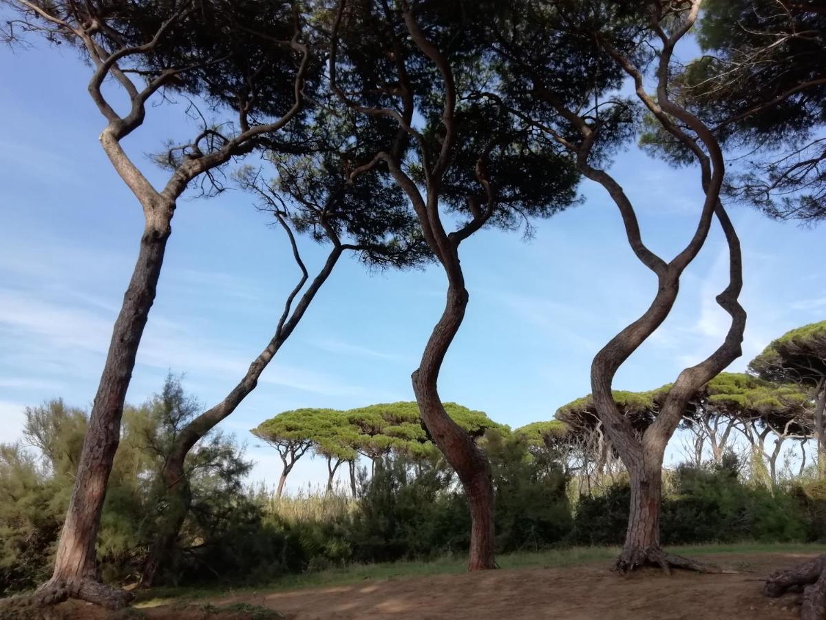 Casa Jacaranda Villa Monteverdi Marittimo Eksteriør billede